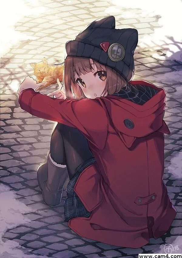 Jalleleo image 0