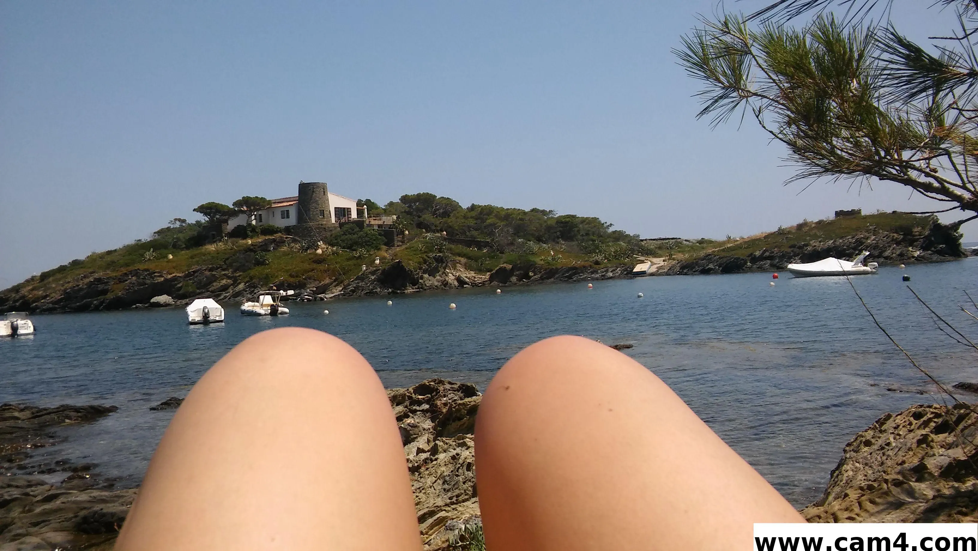 she_26 image 0