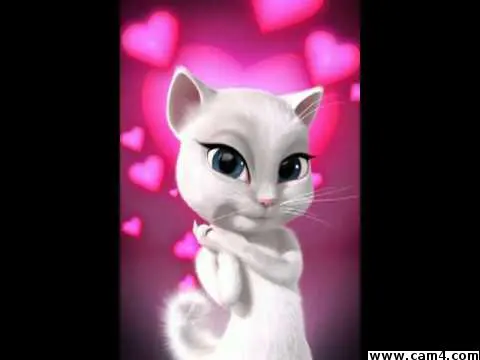 room_kittty image 0