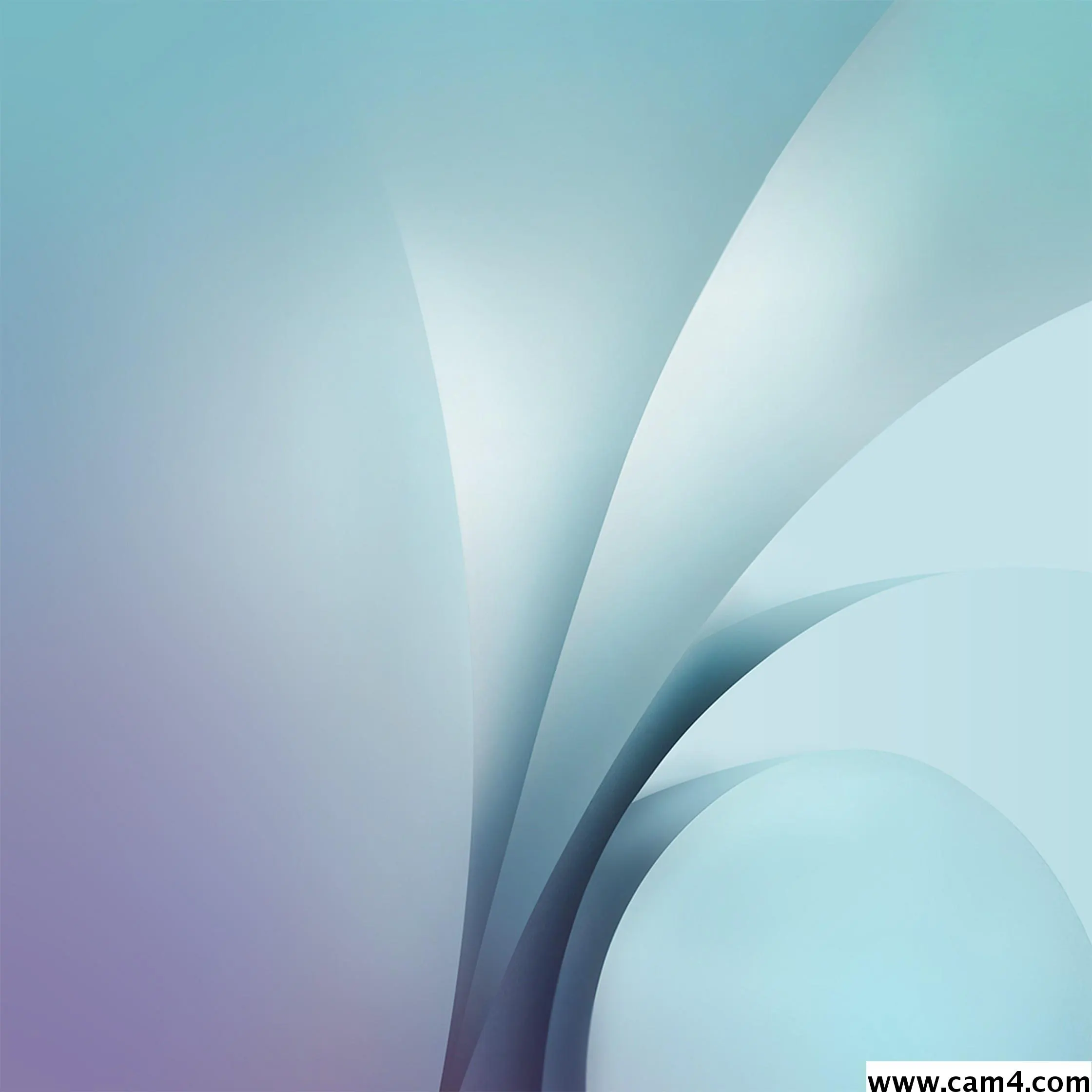 _queen_7 image 0